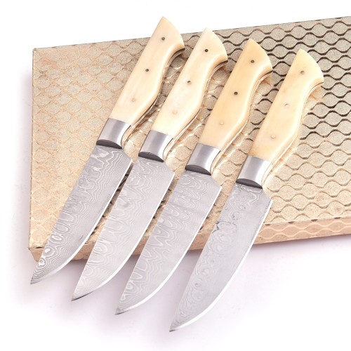 Stainless Damascus Knife with Bone Handle