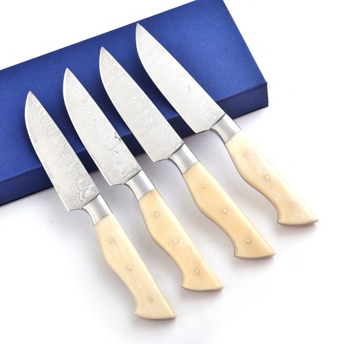 Stainless Damascus Knife with Bone Handle